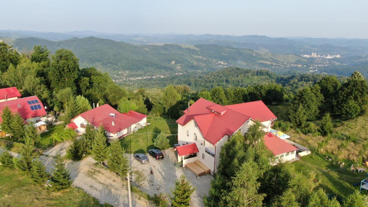 Pensiune Runcu Stone Exterior foto