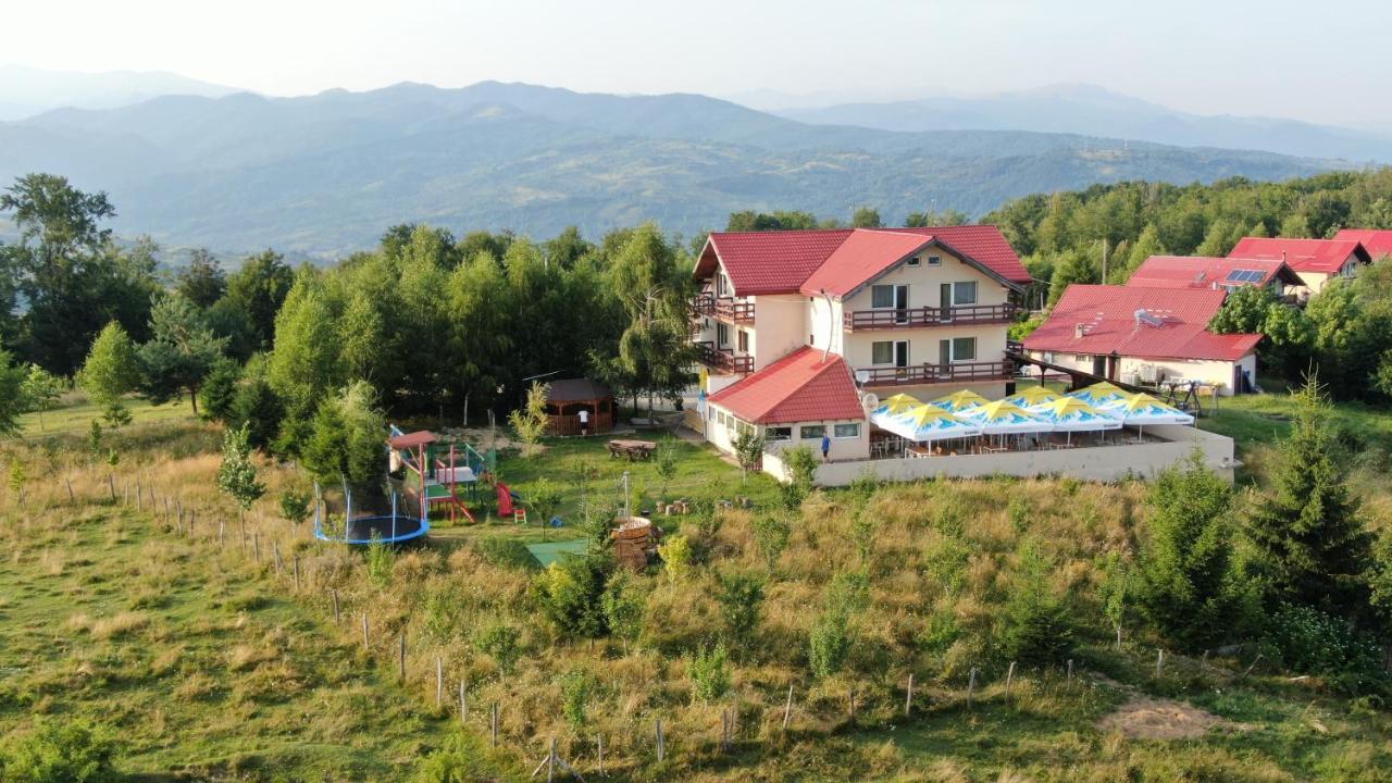 Pensiune Runcu Stone Exterior foto